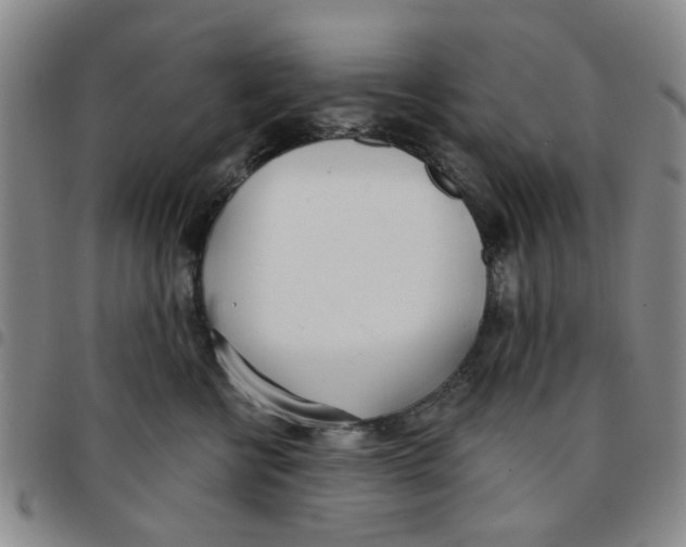 X0000097470570200803141915