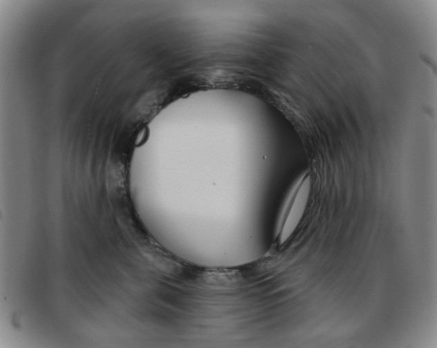 X0000097470571200803141915