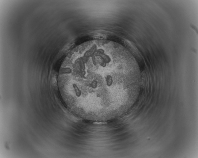 X0000097470573200803141915