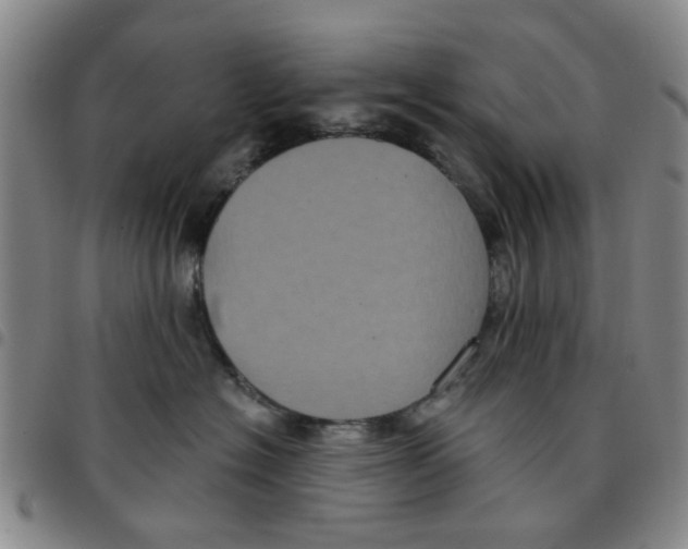 X0000097470574200803141915