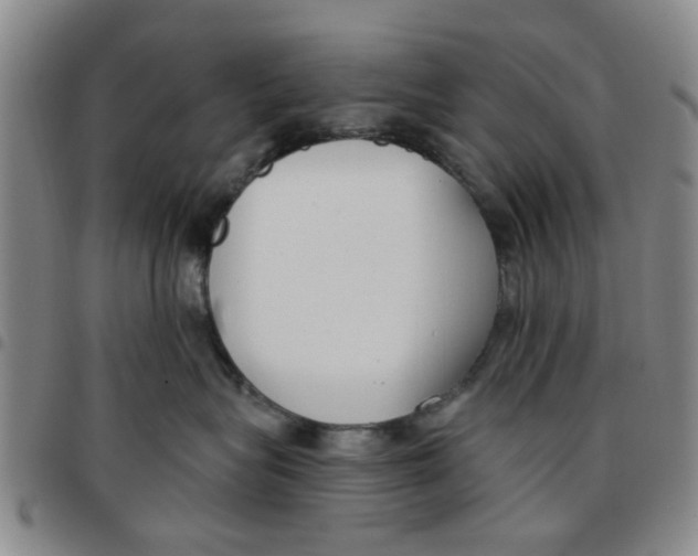 X0000097470575200803141915