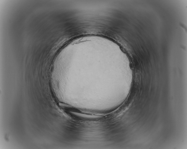X0000097470577200803141915