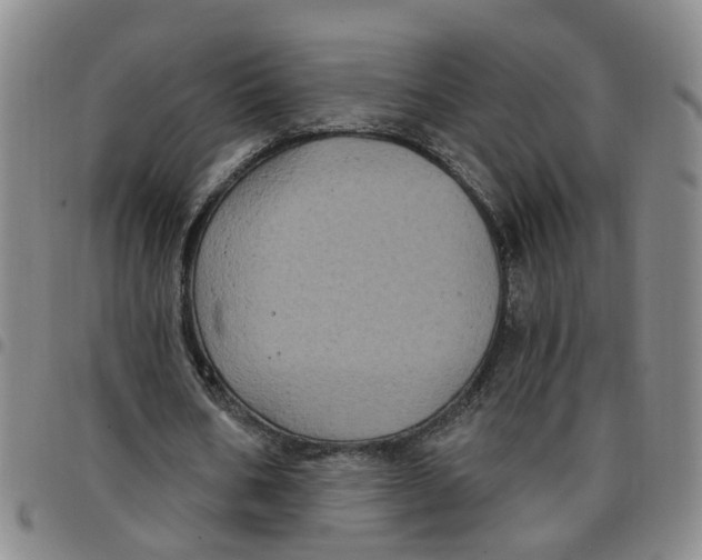 X0000097470578200803141915