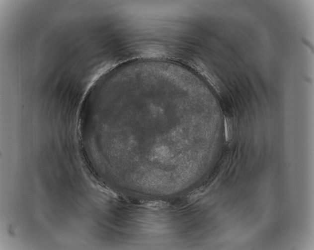 X0000097470579200803141915