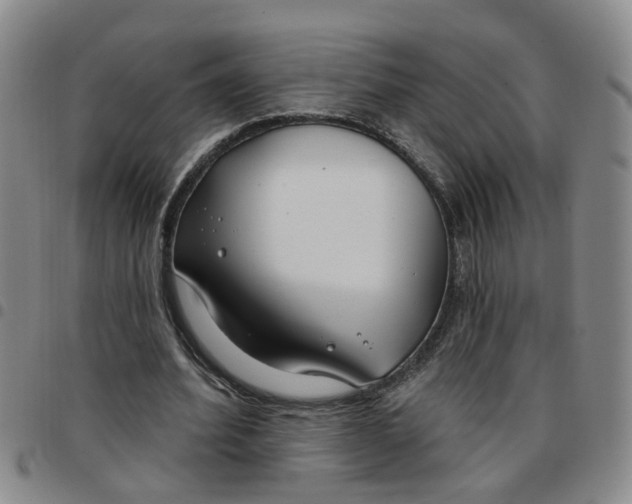 X0000097470580200803141915