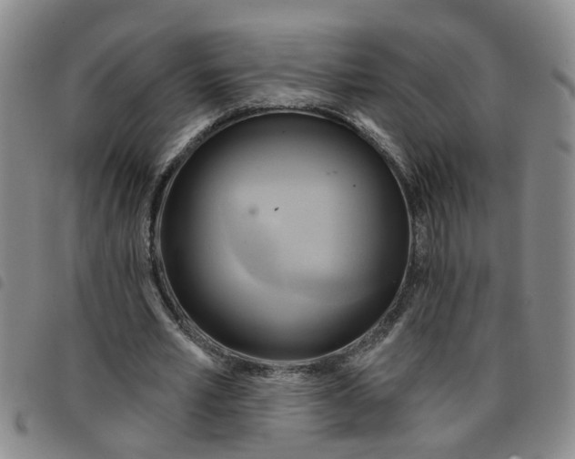 X0000097470581200803141915