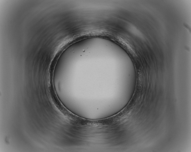 X0000097470582200803141915