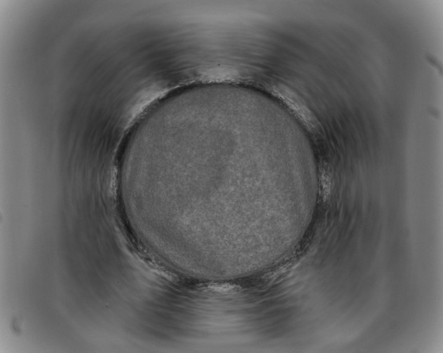 X0000097470583200803141915