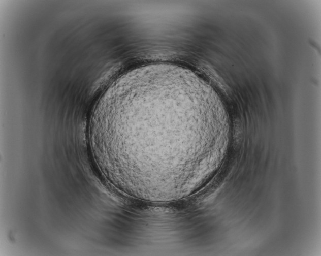 X0000097470585200803141915