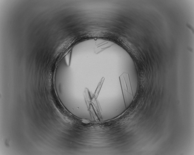 X0000097470586200803141915