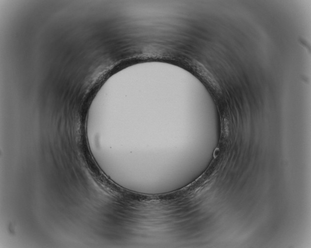 X0000097470588200803141915
