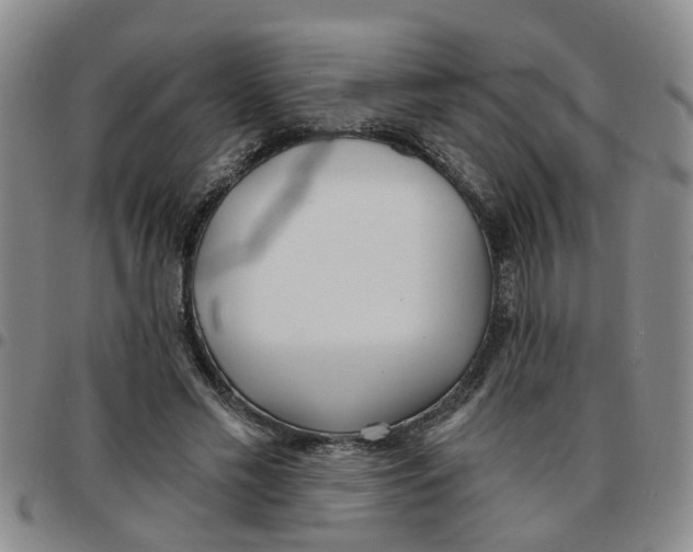 X0000097470589200803141915