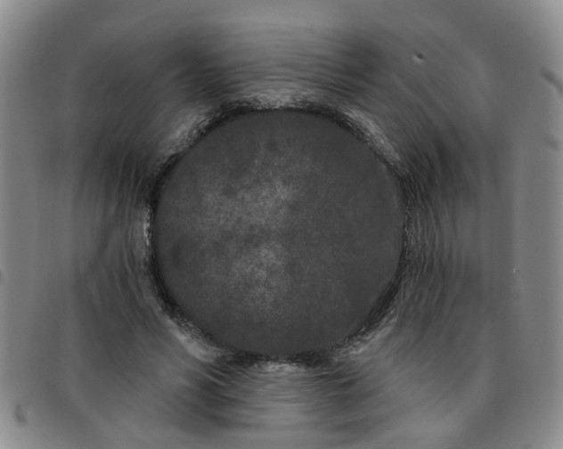 X0000097470590200803141915