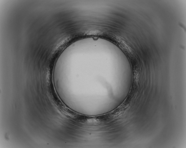 X0000097470591200803141915
