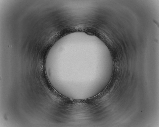 X0000097470593200803141915