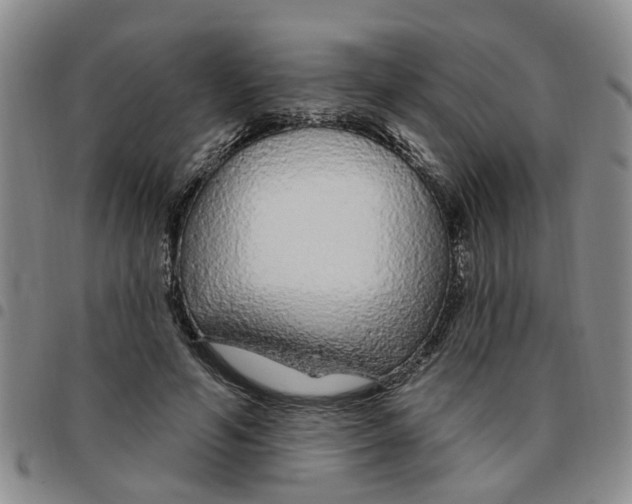 X0000097470594200803141915