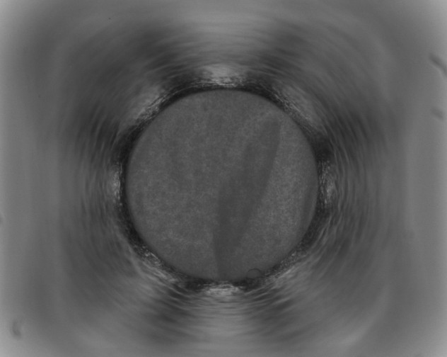 X0000097470595200803141915