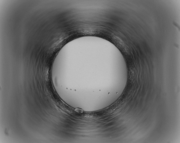 X0000097470596200803141915