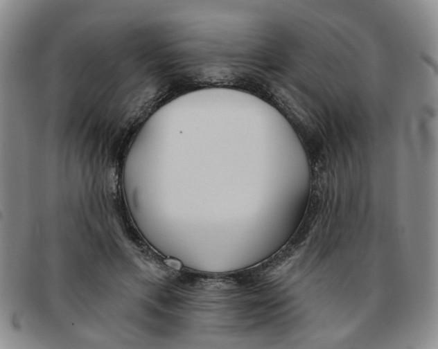 X0000097470597200803141915