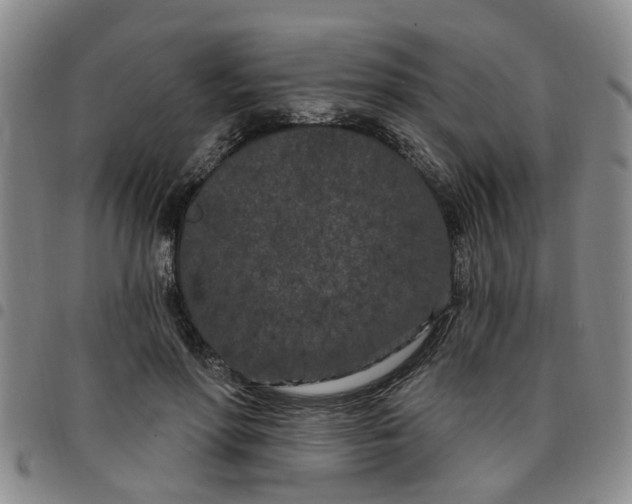 X0000097470598200803141915