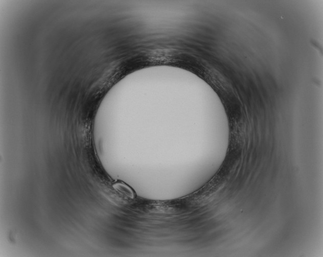 X0000097470601200803141915