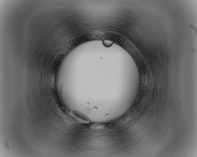X0000097470602200803141915