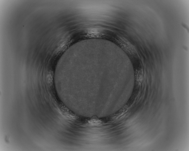 X0000097470603200803141915