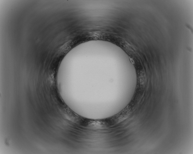 X0000097470611200803141914