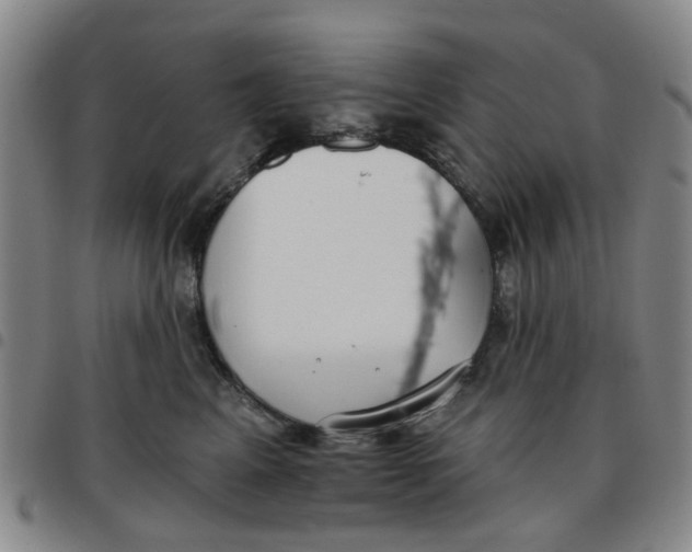 X0000097470617200803141914