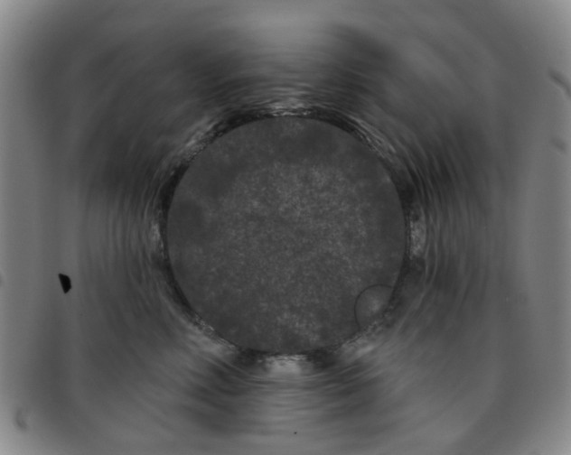 X0000097470618200803141914