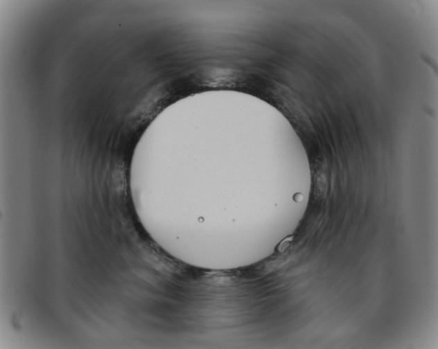 X0000097470620200803141914