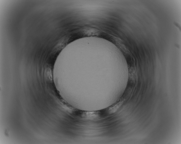 X0000097470622200803141914