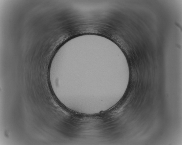 X0000097470625200803141913