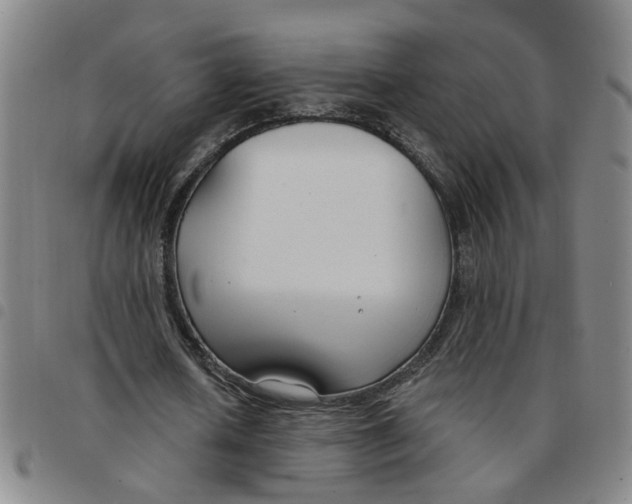 X0000097470626200803141913