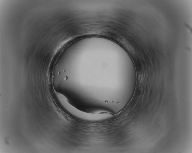 X0000097470628200803141913