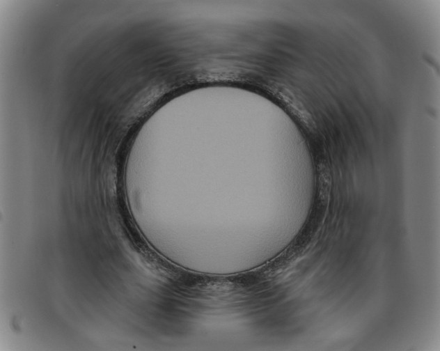 X0000097470631200803141913