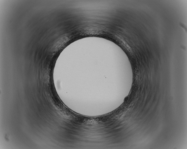 X0000097470635200803141914