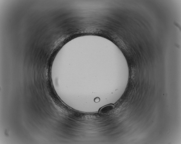 X0000097470636200803141914