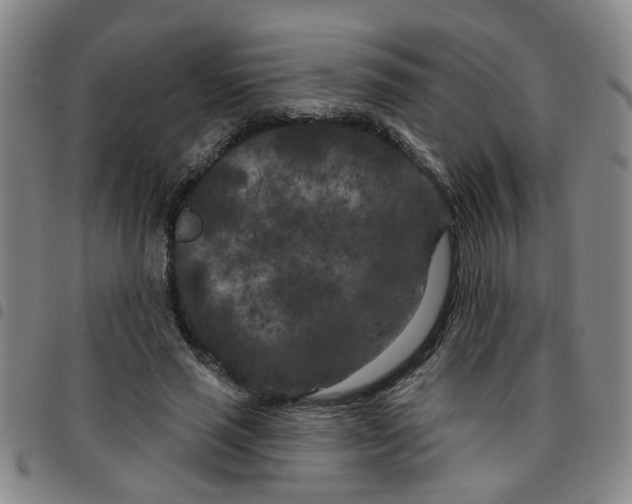 X0000097470637200803141914