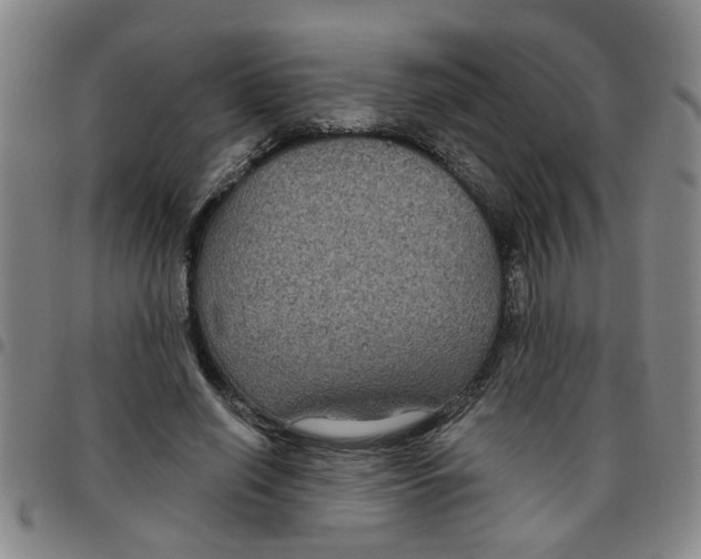 X0000097470638200803141914