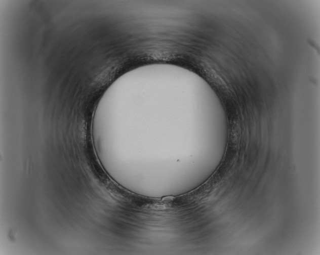 X0000097470639200803141914