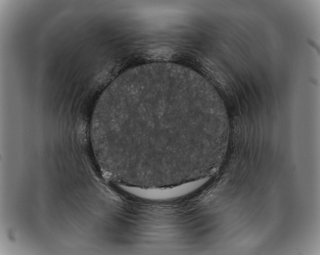 X0000097470641200803141914