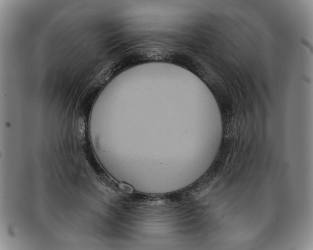 X0000097470646200803141914