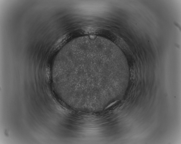 X0000097470648200803141914