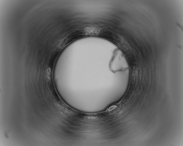 X0000097470649200803141914