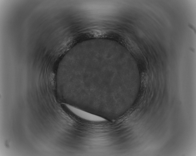 X0000097470650200803141914