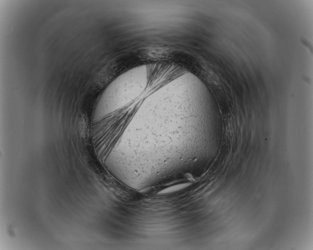 X0000097470651200803141914