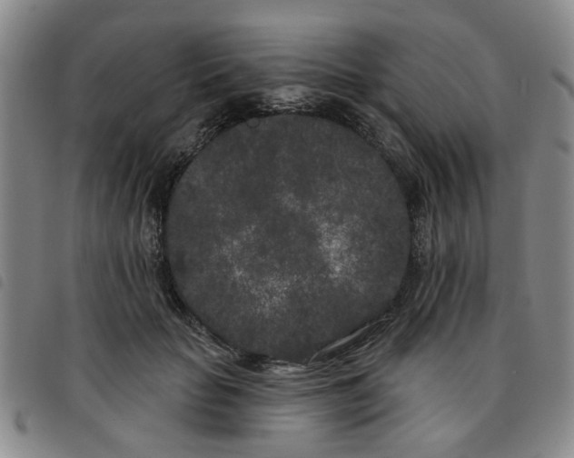 X0000097470653200803141914