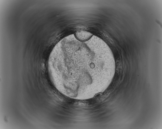 X0000097470655200803141914