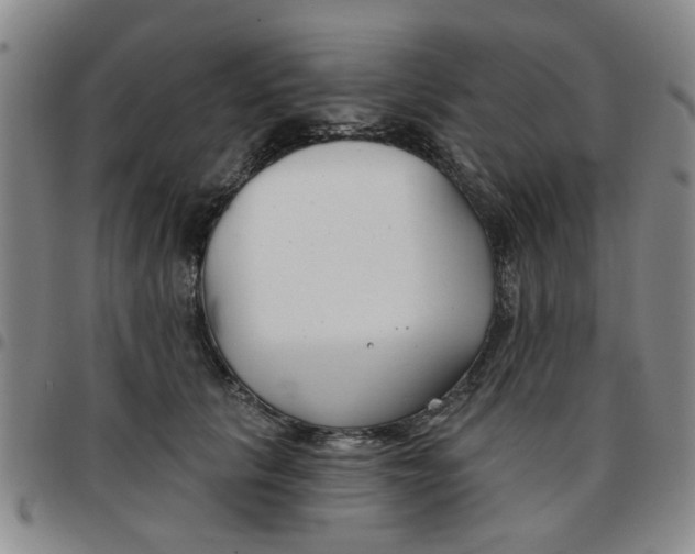 X0000097470657200803141914